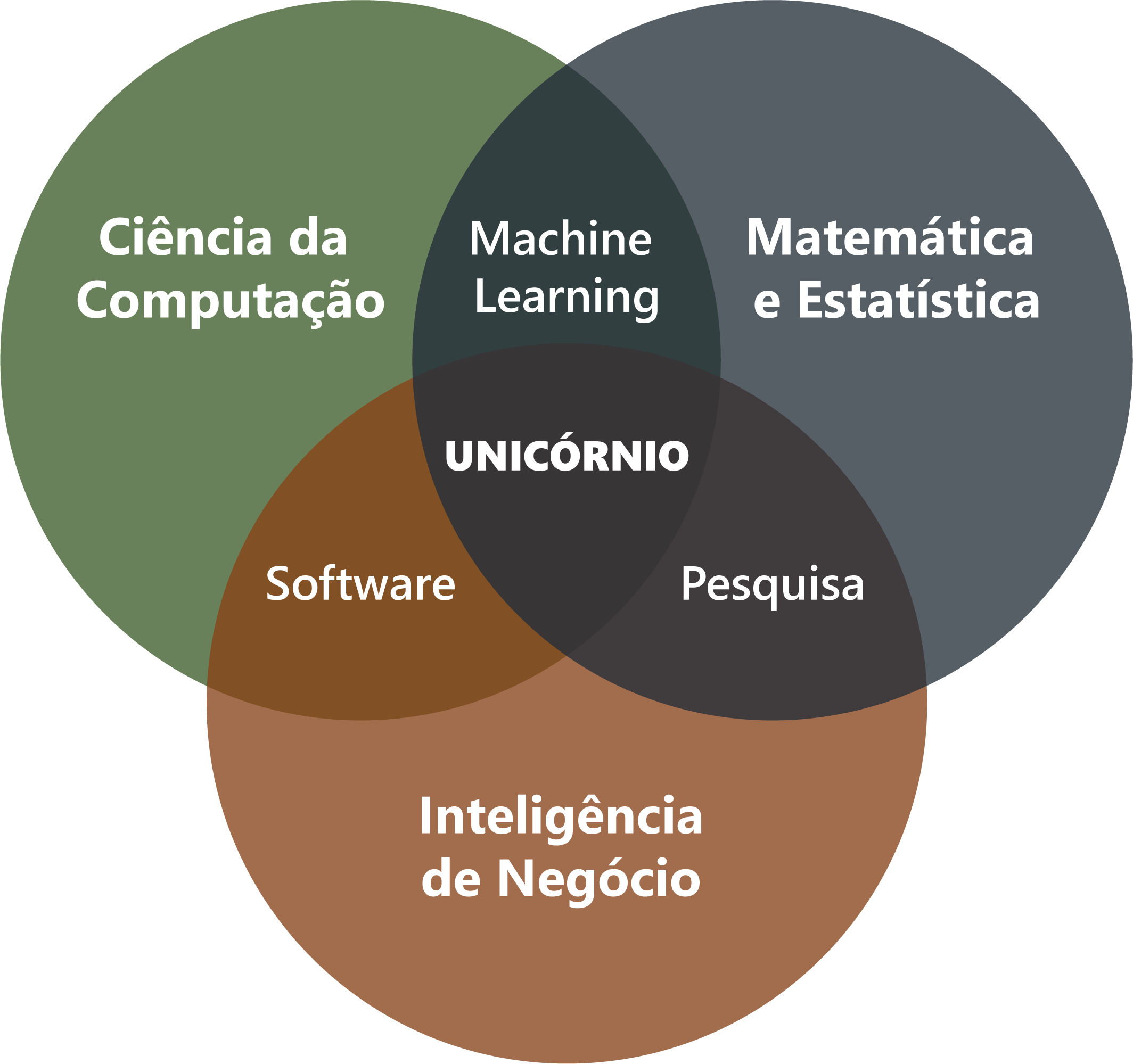 conhecimentos-multidisciplinares-necessrios-para-a-cincia-de-dados - Bridge Consulting