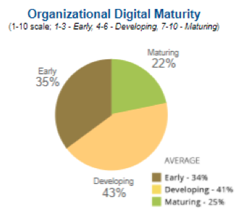 Organizacional Digital Maturity I